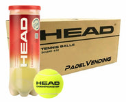 HEAD CHAMPIONSHIP TENIS - Cajón de 24 Botes de 3 pelotas de Tenis